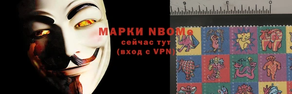 ECSTASY Богородицк