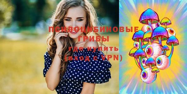 ECSTASY Богородицк