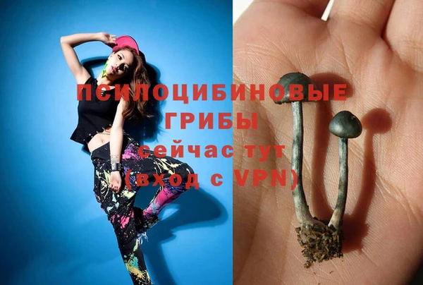 амф Богданович