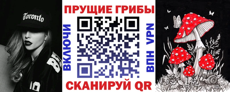 МЕГА ссылки  магазин  наркотиков  Очёр  Псилоцибиновые грибы Psilocybine cubensis 